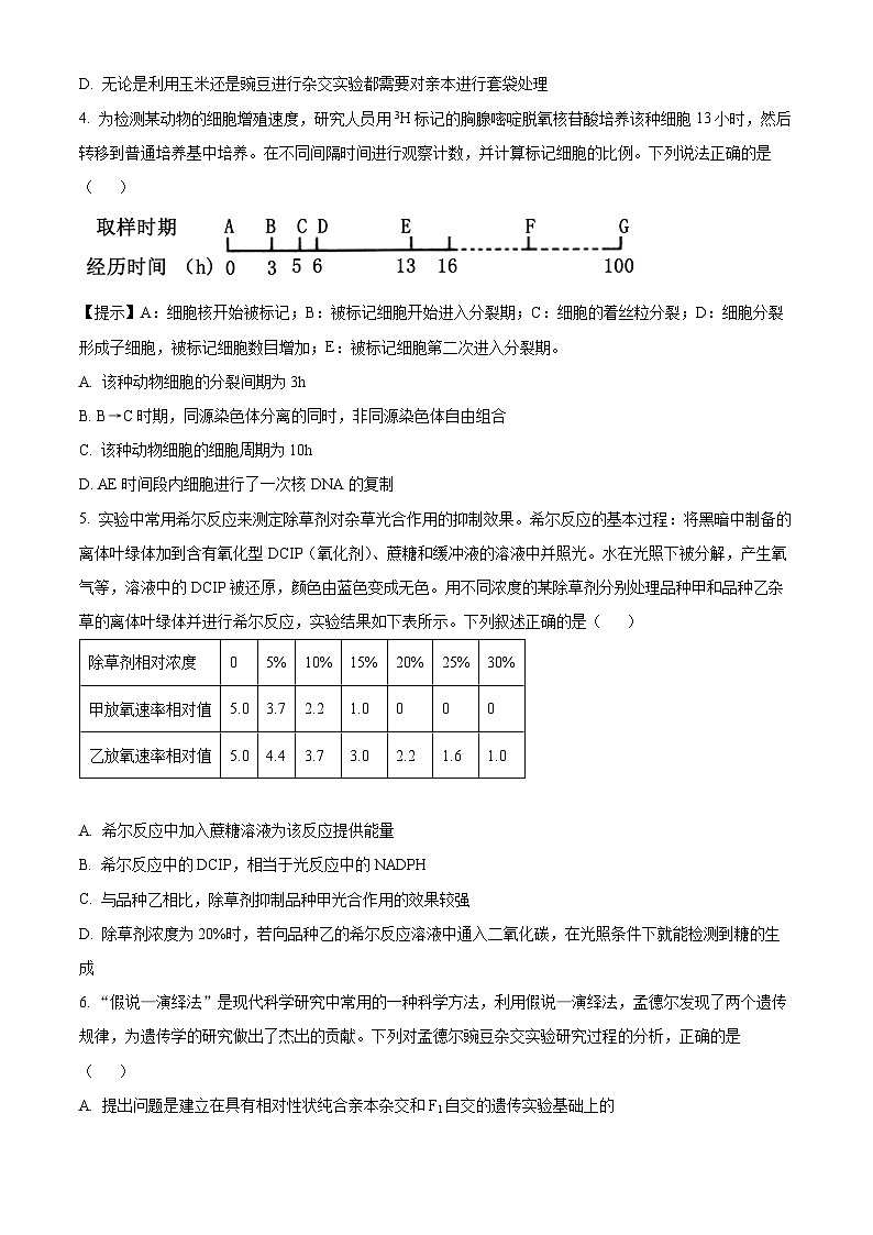 重庆市名校联盟2023-2024学年高一下学期4月期中联考生物试卷（Word版附解析）02
