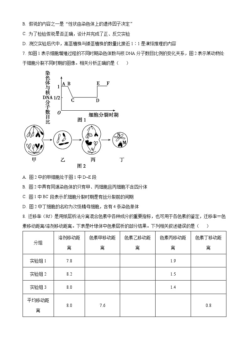 重庆市名校联盟2023-2024学年高一下学期4月期中联考生物试卷（Word版附解析）03