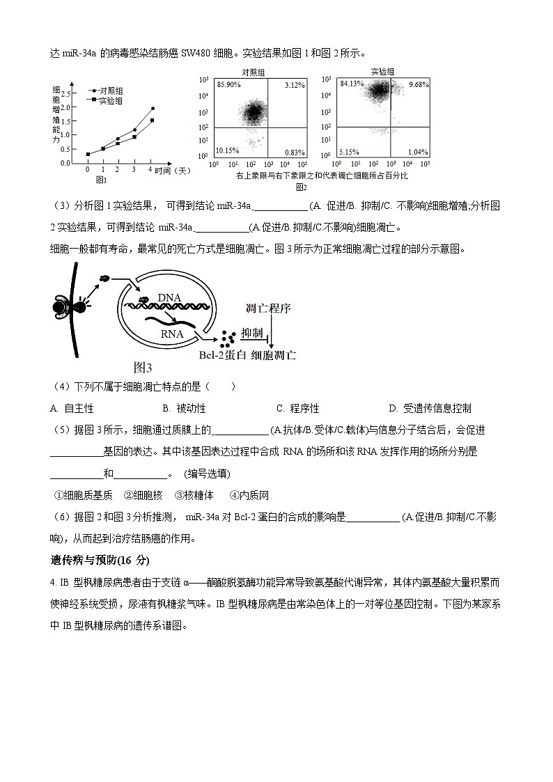 上海市敬业中学2023-2024学年高二下学期6月期末考试生物试卷（Word版附解析）03
