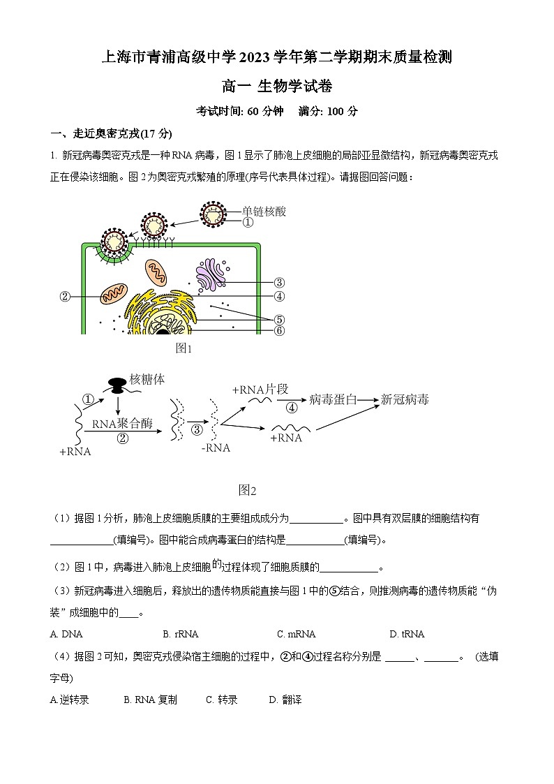 上海市青浦高级中学2023-2024学年高一下学期期末考试生物试卷（Word版附解析）01