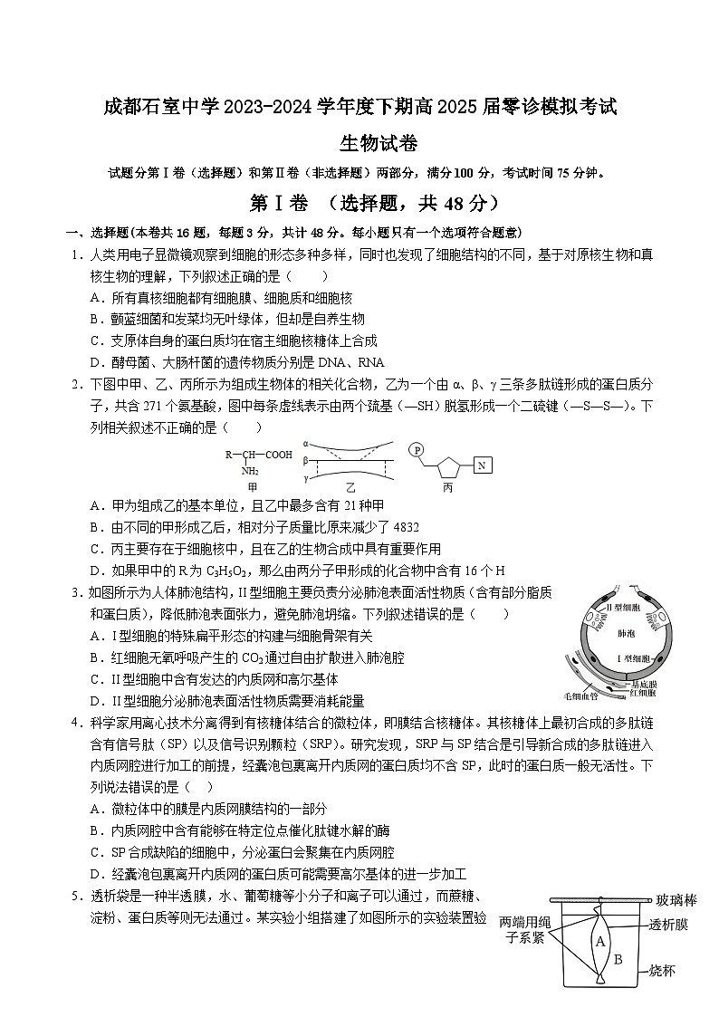 成都石室中学2023-2024学年度下期高2025届零诊模拟考试生物试卷第1页