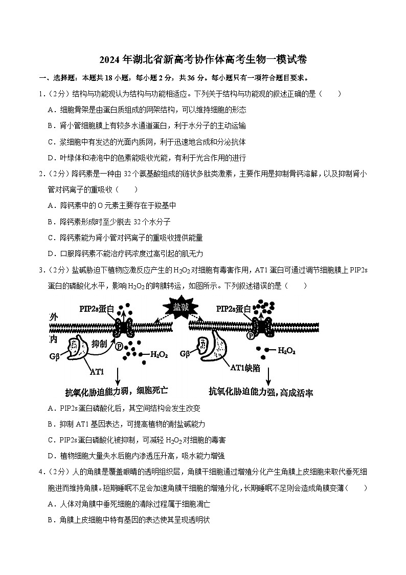 2024年湖北省新高考协作体高考生物一模试卷01