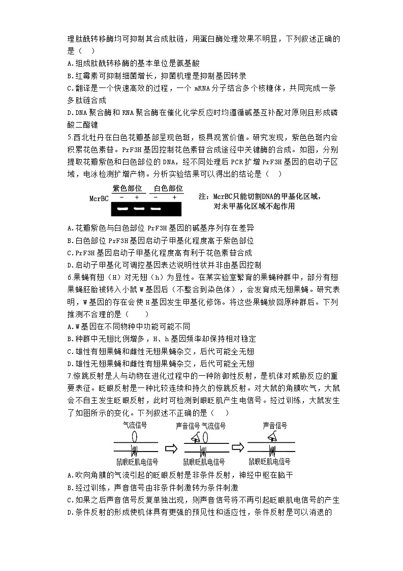 河南省鹤壁市淇滨区鹤壁市高中2023-2024学年高二下学期6月月考生物试题02