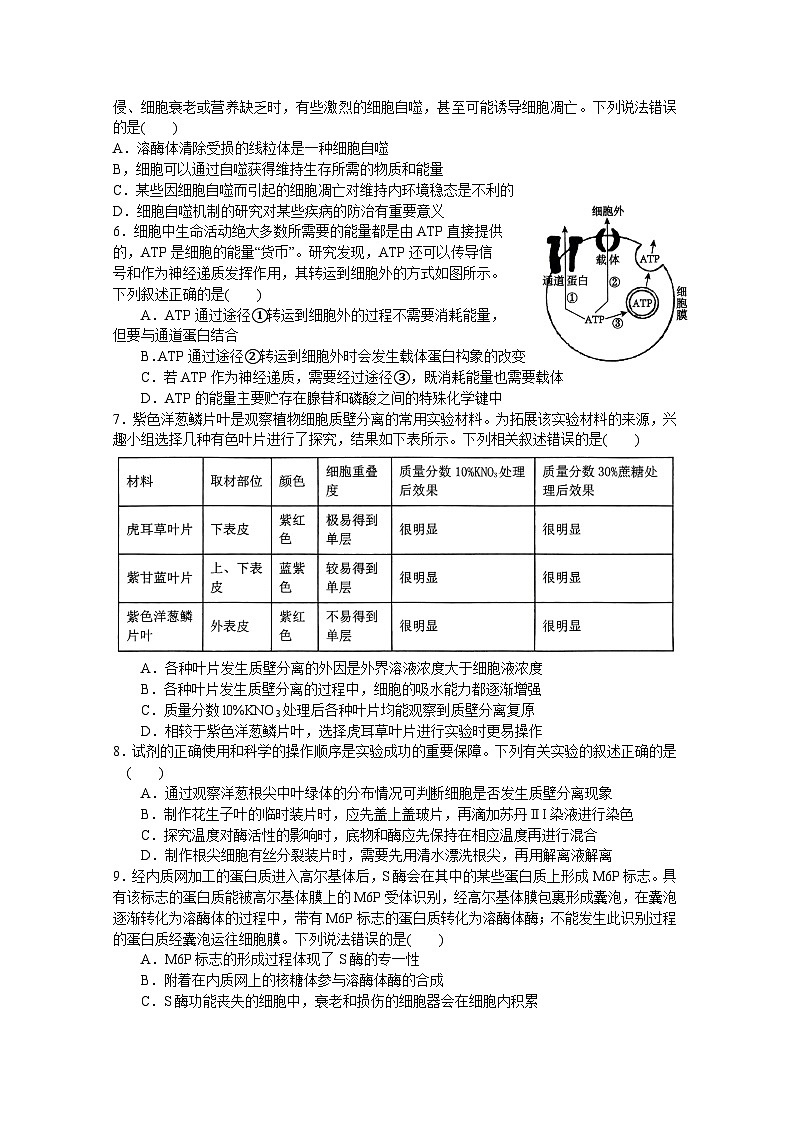 河南省南阳市第一中学校2023-2024学年下学期高二第二次月考（6月）生物试题第2页