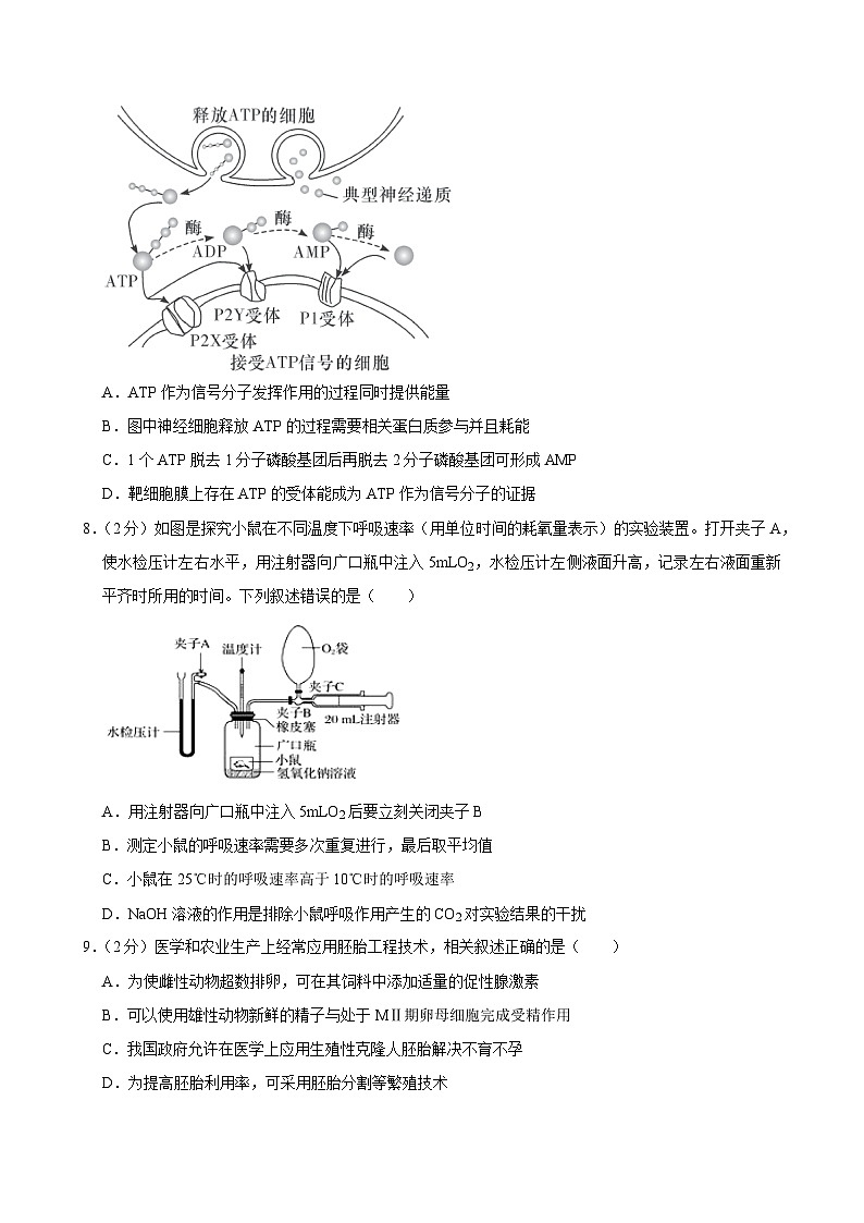 湖南省长沙市开福区湖南省长沙市第一中学2023-2024学年高二下学期期末生物试卷03
