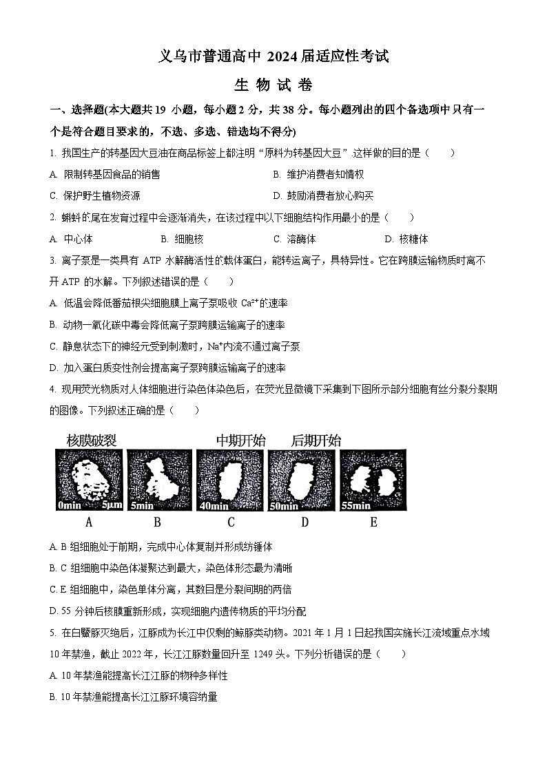 浙江省义乌市2023-2024学年高三下学期适应性考试生物试题（Word版附解析）01