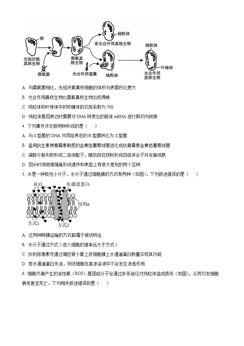 浙江省杭州学军中学2024届高三下学期模拟测试（最后一卷）生物试题（Word版附解析）02