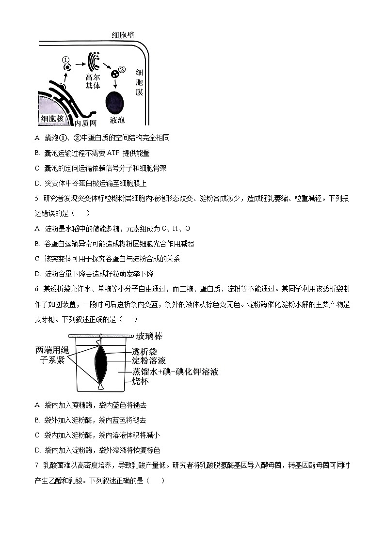 浙江省温州市2024届高三下学期5月第三次适应性考试生物试题（Word版附解析）02