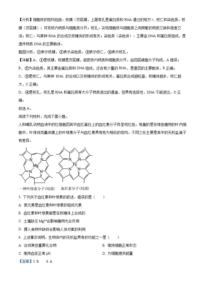 浙江省2023-2024学年高一下学期6月期末生物试题（Word版附解析）03