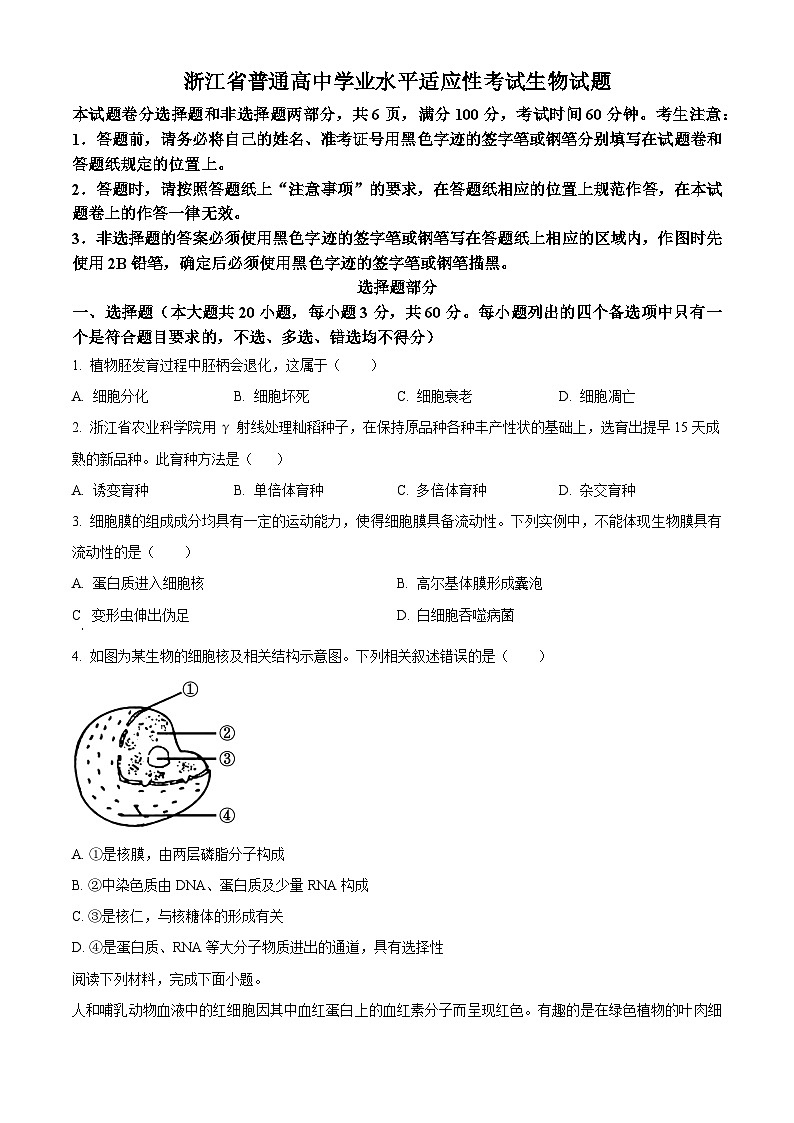 浙江省2023-2024学年高一下学期6月期末生物试题（Word版附解析）01