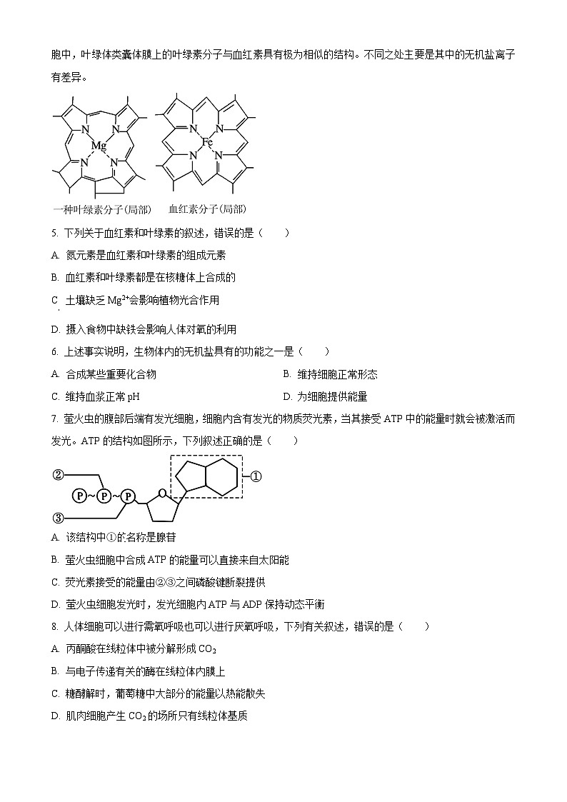 浙江省2023-2024学年高一下学期6月期末生物试题（Word版附解析）02