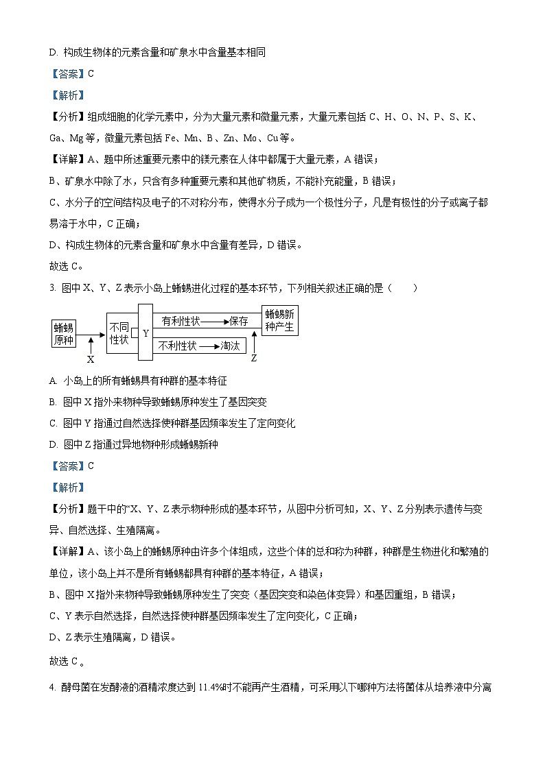 浙江省东阳市2023-2024学年高三下学期5月适应性考试生物试卷 Word版含解析第2页
