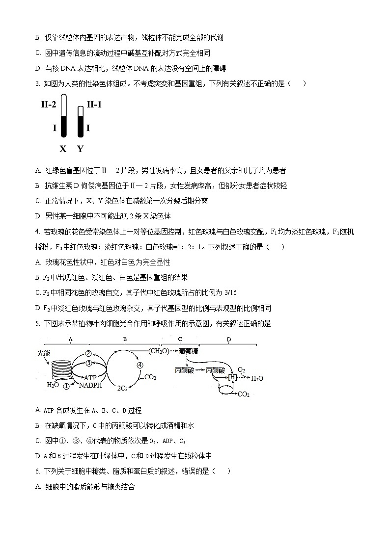 浙江省杭州地区2024届高三下学期第四次模拟考试生物试题（Word版附解析）02