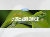 第二单元　第九课时　水进出细胞的原理-2025年高考生物大一轮复习课件