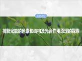 第三单元　第十五课时　捕获光能的色素和结构及光合作用原理的探索-2025年高考生物大一轮复习课件