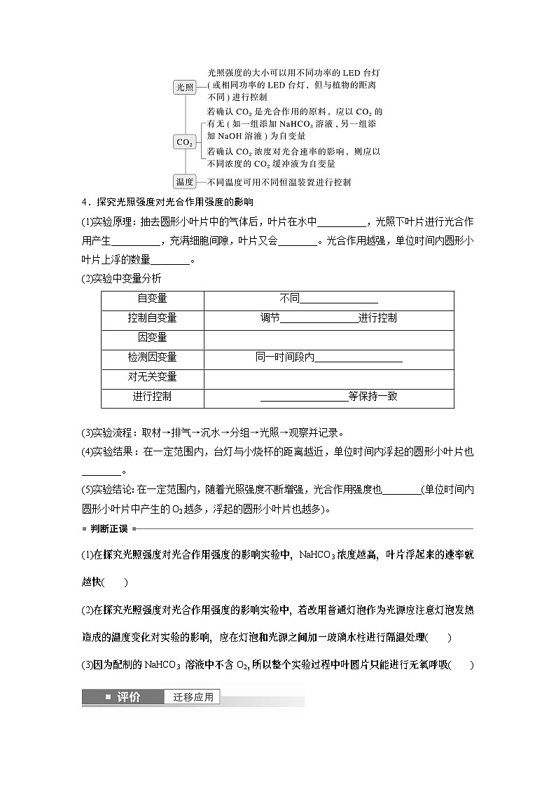 第三单元　第十七课时　光合作用的影响因素及其应用-2025年高考生物大一轮复习课件02