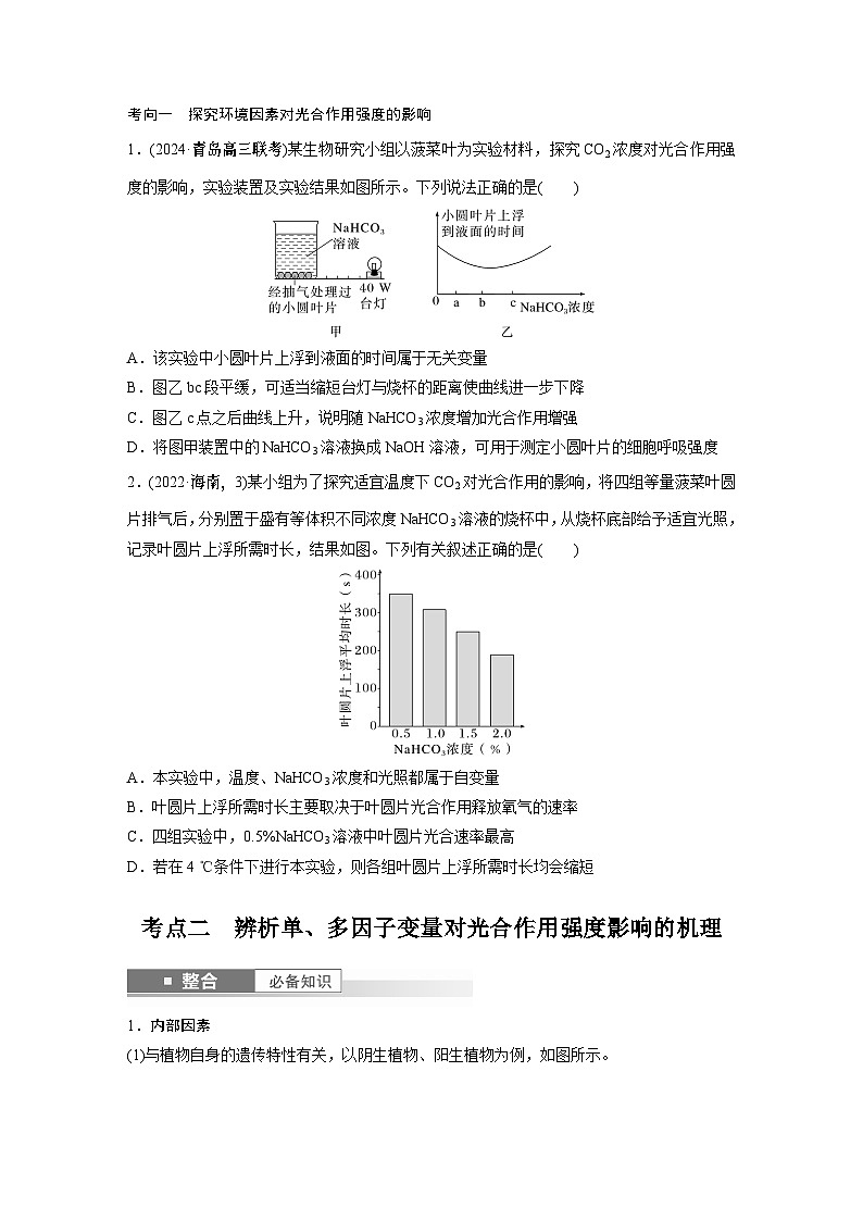 第三单元　第十七课时　光合作用的影响因素及其应用-2025年高考生物大一轮复习课件03