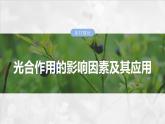 第三单元　第十七课时　光合作用的影响因素及其应用-2025年高考生物大一轮复习课件
