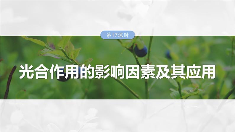 第三单元　第十七课时　光合作用的影响因素及其应用-2025年高考生物大一轮复习课件01