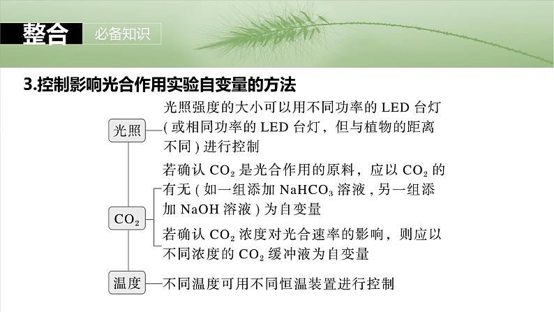 第三单元　第十七课时　光合作用的影响因素及其应用-2025年高考生物大一轮复习课件07