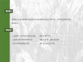 第五单元　第二十四课时　一对相对性状的杂交实验-2025年高考生物大一轮复习课件