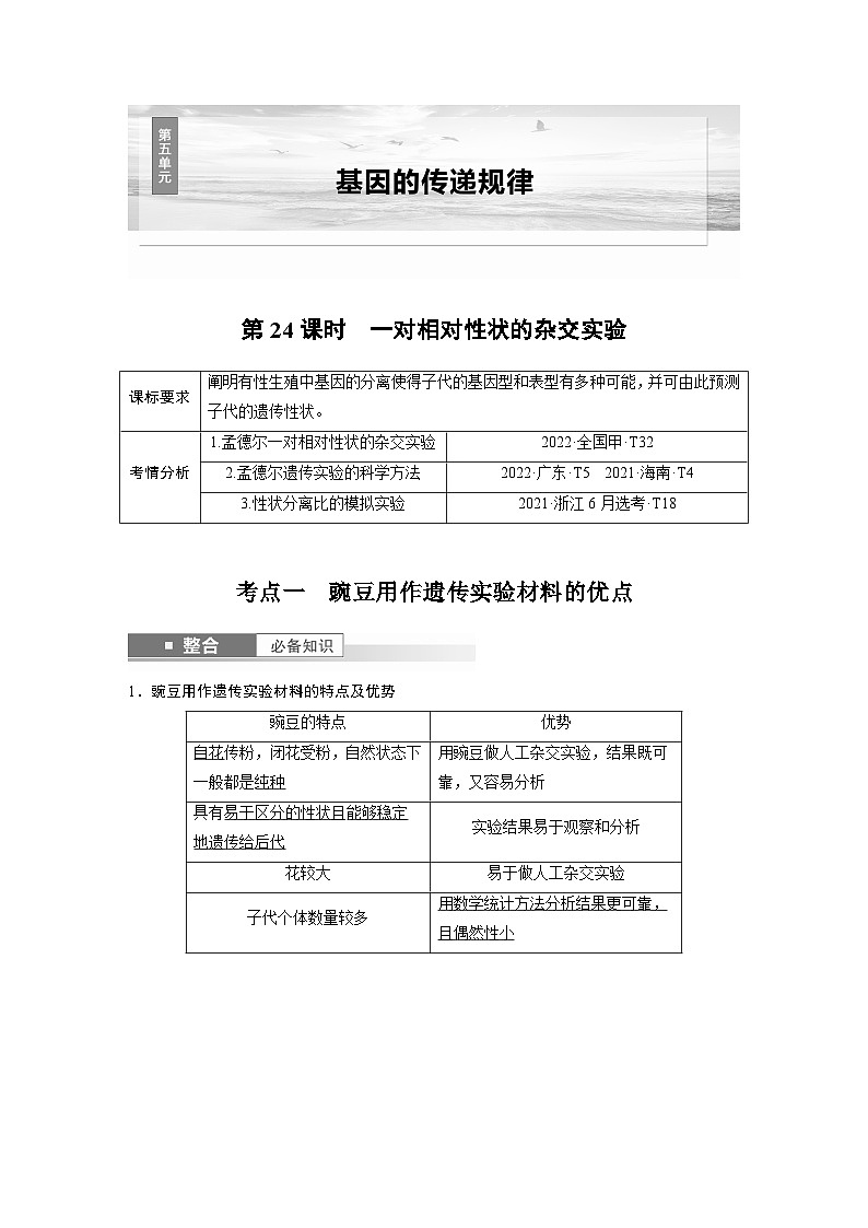 第五单元　第24课时　一对相对性状的杂交实验（教师版）第1页