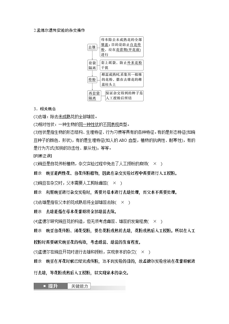 第五单元　第24课时　一对相对性状的杂交实验（教师版）第2页