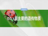 第六单元　第二十九课时　DNA是主要的遗传物质-2025年高考生物大一轮复习课件