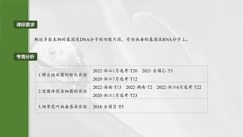 第六单元　第二十九课时　DNA是主要的遗传物质-2025年高考生物大一轮复习课件02