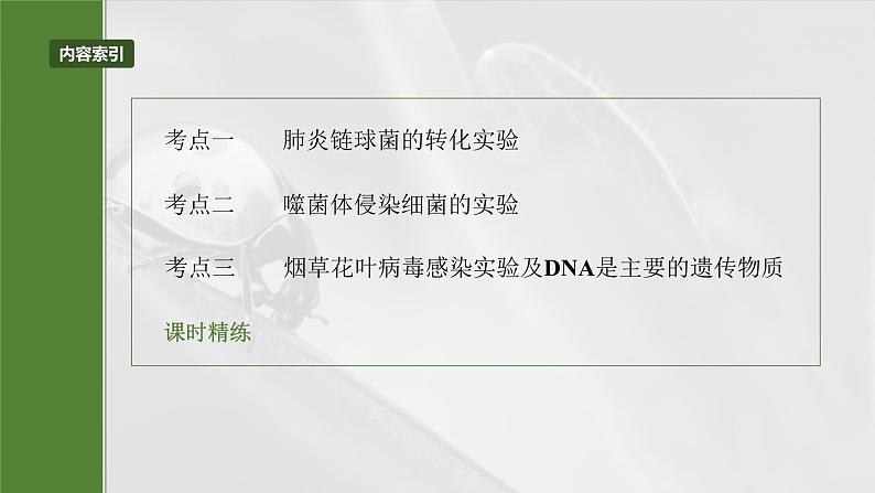 第六单元　第二十九课时　DNA是主要的遗传物质-2025年高考生物大一轮复习课件03