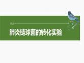 第六单元　第二十九课时　DNA是主要的遗传物质-2025年高考生物大一轮复习课件