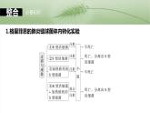第六单元　第二十九课时　DNA是主要的遗传物质-2025年高考生物大一轮复习课件