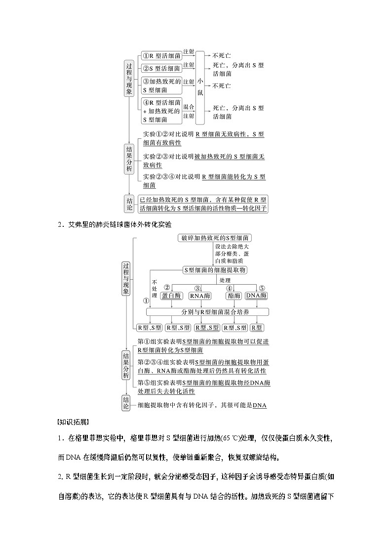 第六单元　第二十九课时　DNA是主要的遗传物质-2025年高考生物大一轮复习课件02
