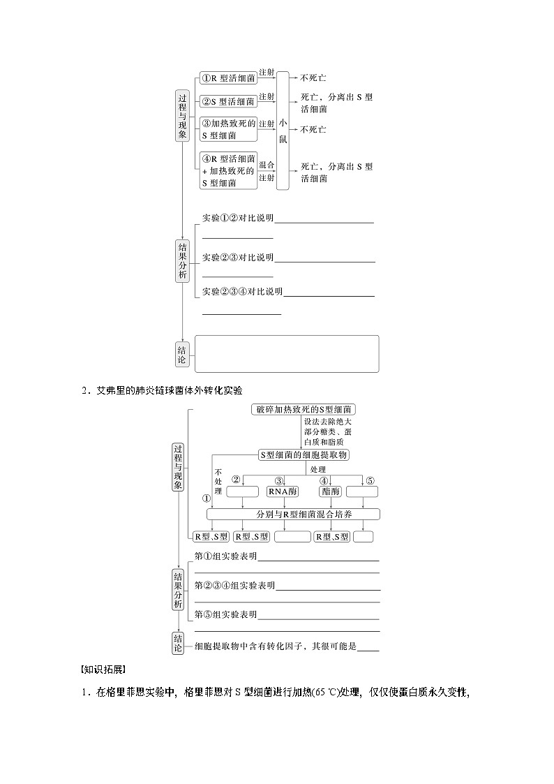 第六单元　第二十九课时　DNA是主要的遗传物质-2025年高考生物大一轮复习课件02