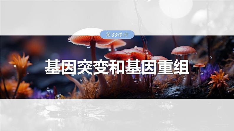 第七单元　第33课时　基因突变和基因重组第1页