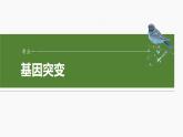 第七单元　第33课时　基因突变和基因重组-2025年高考生物大一轮复习课件