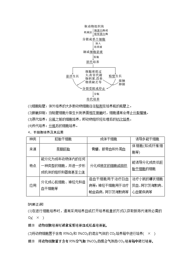 第十单元　第59课时　动物细胞工程-2025年高考生物大一轮复习课件02
