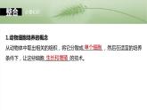 第十单元　第59课时　动物细胞工程-2025年高考生物大一轮复习课件