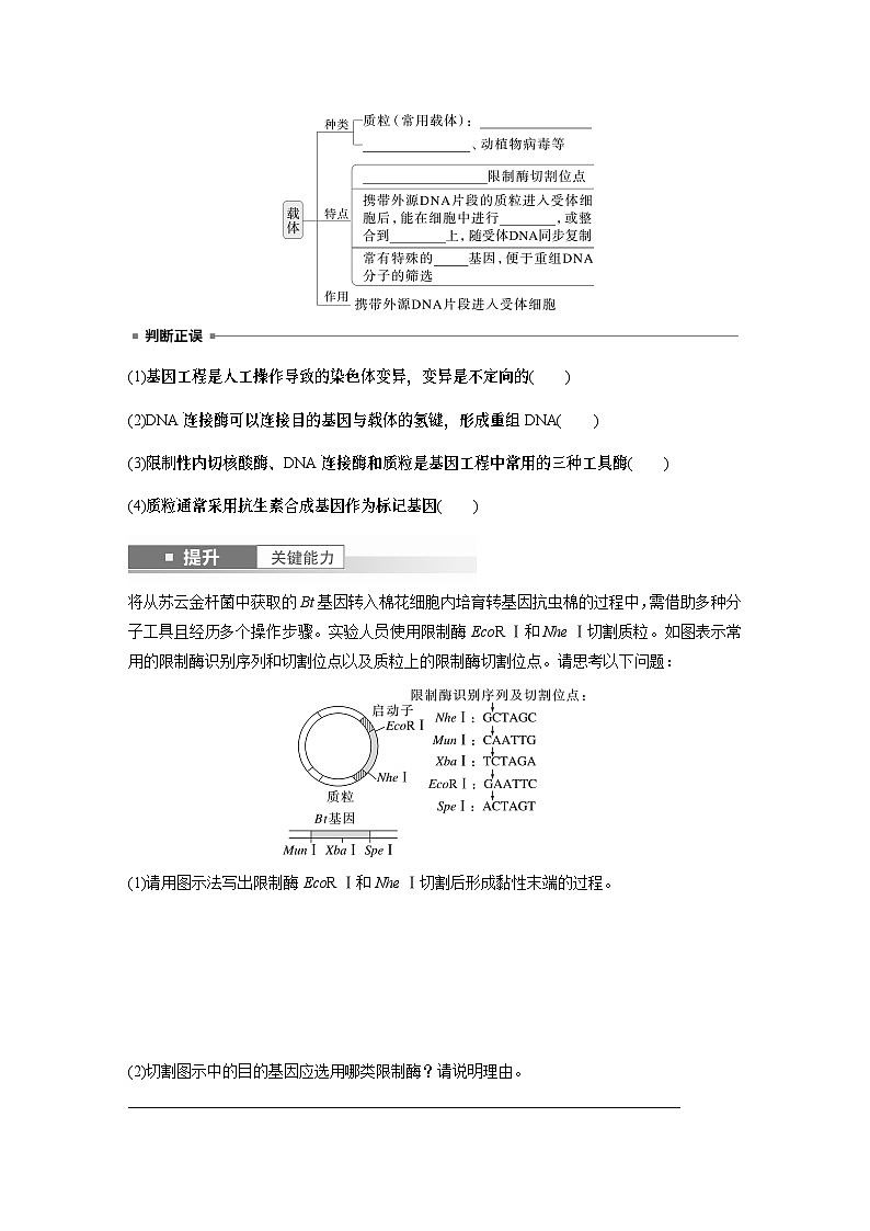 第十单元　第61课时　基因工程的基本工具和基本操作程序-2025年高考生物大一轮复习课件03