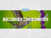第十单元　第61课时　基因工程的基本工具和基本操作程序-2025年高考生物大一轮复习课件