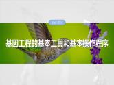 第十单元　第61课时　基因工程的基本工具和基本操作程序-2025年高考生物大一轮复习课件