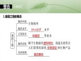 第十单元　第61课时　基因工程的基本工具和基本操作程序-2025年高考生物大一轮复习课件