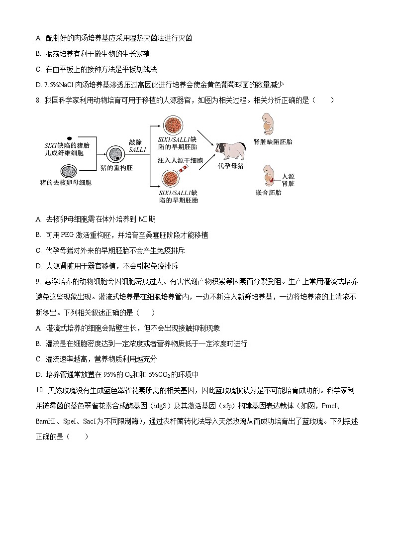 2024南昌二中高二下学期5月期中考试生物含解析第3页