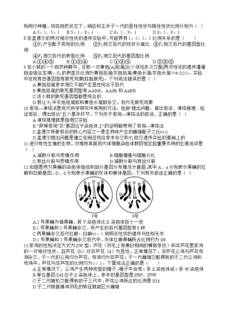 2024遂宁射洪中学高一下学期期末模拟生物试题含答案02