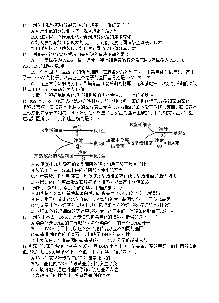 2024遂宁射洪中学高一下学期期末模拟生物试题含答案03