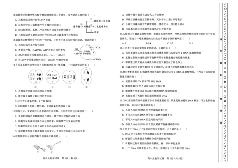 [生物]2024年天津市普通高中学业水平合格性考试河东区模拟试卷(有答案)02