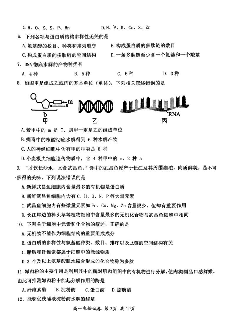 [生物]河北省唐山市迁安市2023～2024学年高一上学期期中考试试卷(无答案)02