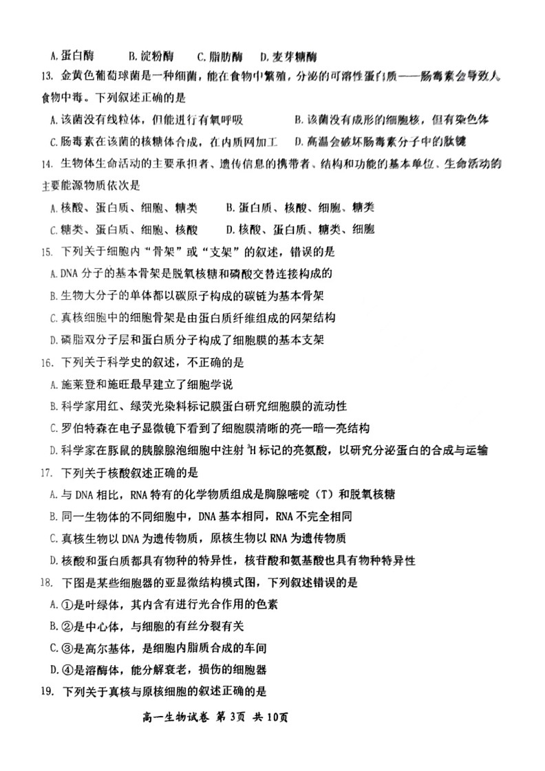 [生物]河北省唐山市迁安市2023～2024学年高一上学期期中考试试卷(无答案)03