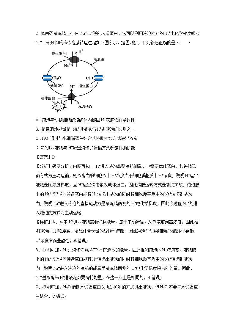 [生物]江苏省泰州市2023-2024学年高二下学期6月期末考试试题(解析版)02