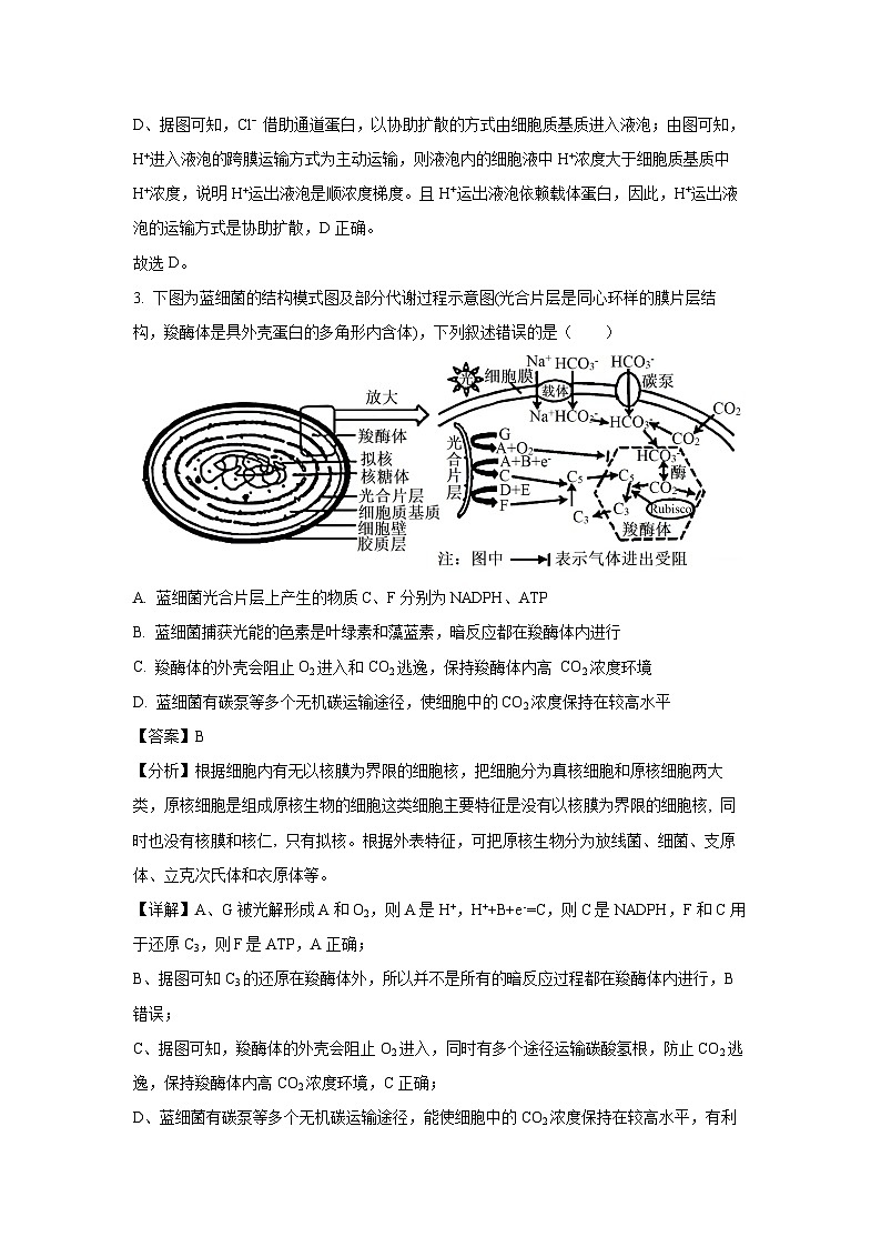 [生物]江苏省泰州市2023-2024学年高二下学期6月期末考试试题(解析版)03